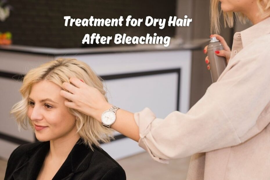 Treatment for Dry Hair After Bleaching