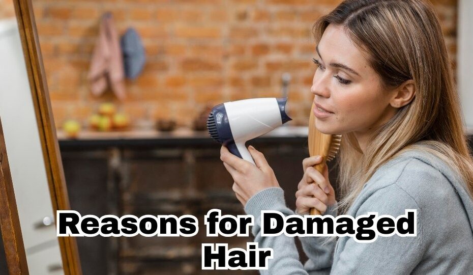 Reasons for Damaged Hair