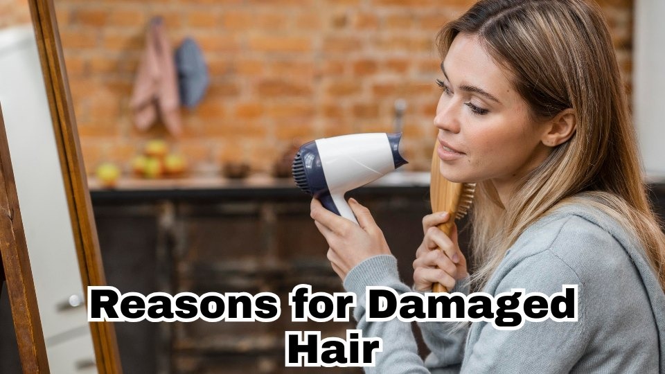 Reasons for Damaged Hair