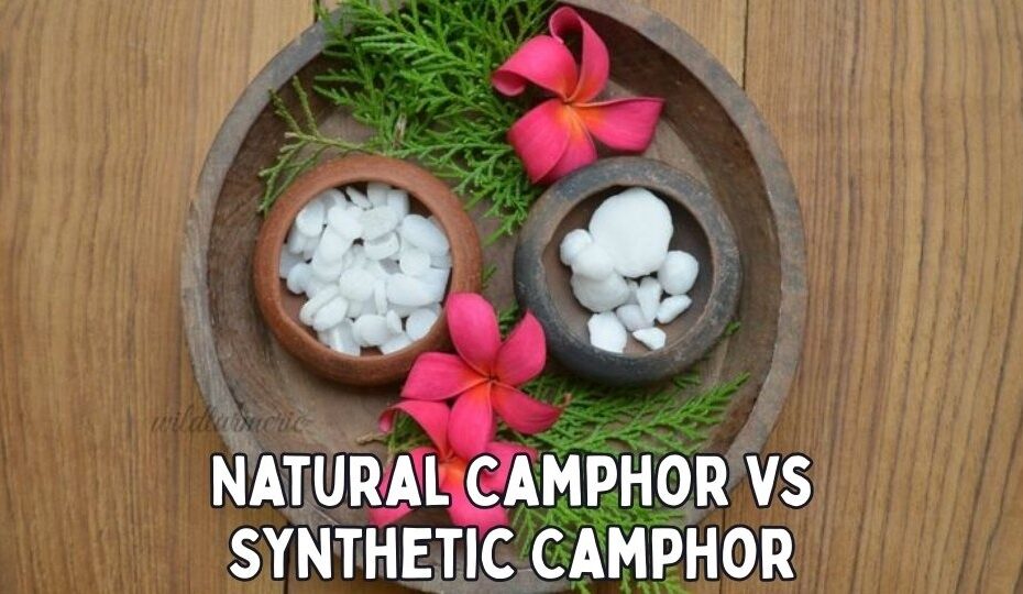 Natural Camphor vs Synthetic Camphor